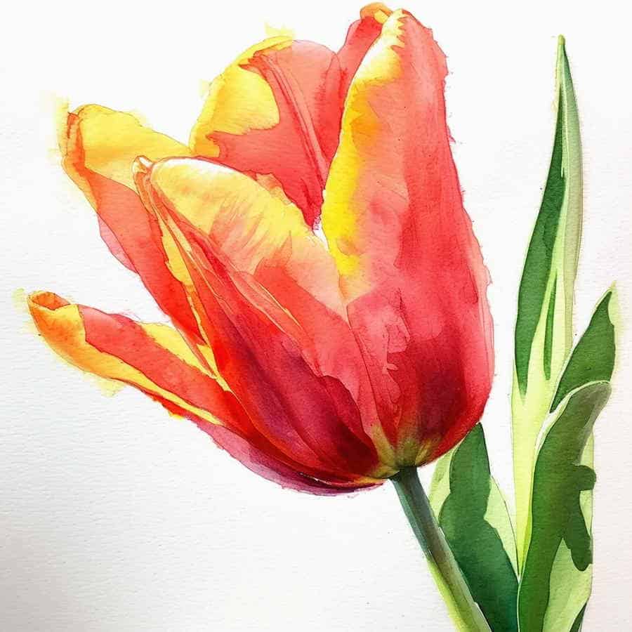 Tulpe als Blume malen als Aquarellmalerei (NF) Tulpe als Blume malen als Aquarellmalerei (NF)